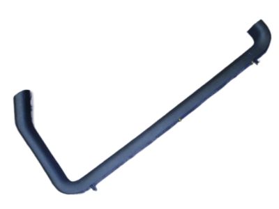 Chrysler Town & Country Door Moldings - RT30BD5AB