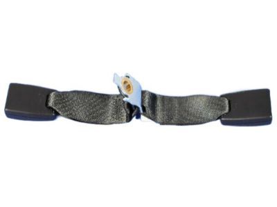 Dodge Challenger Seat Belt - 1BY491DVAB