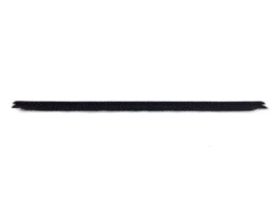Dodge 5076876AB WEATHERSTRIP Rear Door Belt Inner