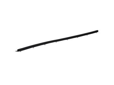 Dodge Durango Door Seal - 55364333AB