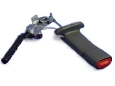 Dodge Caravan Seat Belt - 1AK421D5AC