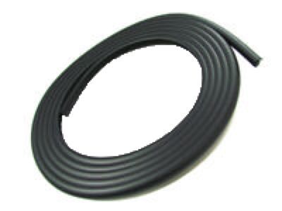 Jeep 55175170 Molding