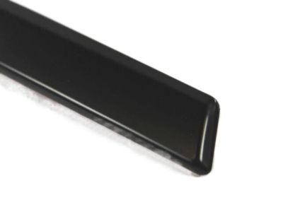 Chrysler Town & Country Door Moldings - ZR53TZZAC