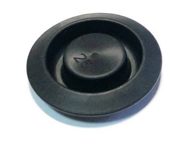 Dodge MU670034 PLUG, 25