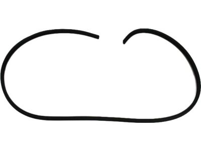 Mopar 55256396AD Seal Front Door