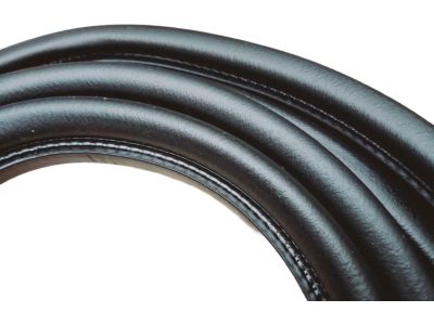 Mopar 55256396AD Seal Front Door