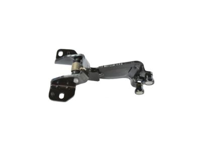 Mopar 68261889AA Hinge Sliding Door