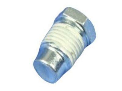 Jeep 6036592AA PLUG .250-18X.690