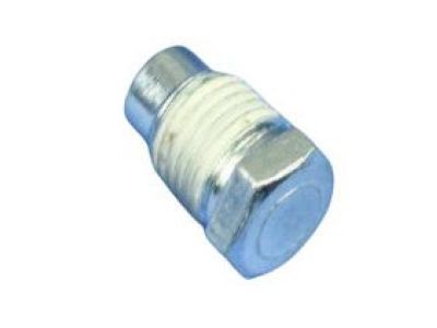 Jeep 6036592AA PLUG .250-18X.690