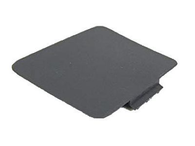 Ram 1WD62LA8AA COVER Release Handle Bezel