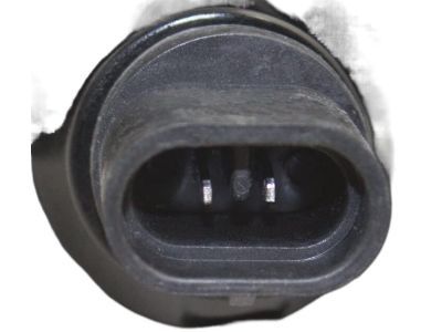 Dodge Ram 2500 Fog Light - 55055180