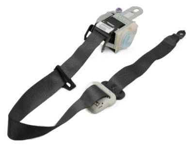 Chrysler 300 Seat Belt - 1EU002DVAC