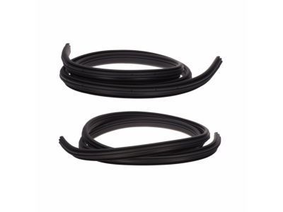 Ram Dakota Door Seal - 55359711AI