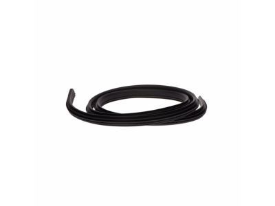 Ram Dakota Door Seal - 55359711AI