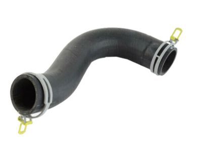 Dodge 55056945AE Lower Hose