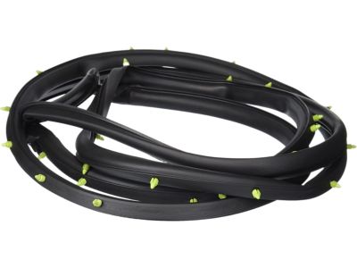 Chrysler Town & Country Door Seal - 4717721AA