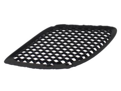 Dodge 68141089AD BEZEL Hood