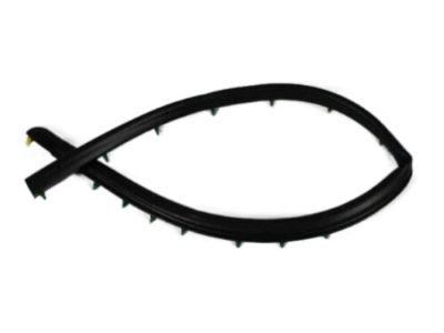 Jeep 55136115AC SEAL Front Door