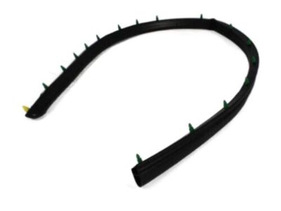 Jeep 55136115AC SEAL Front Door