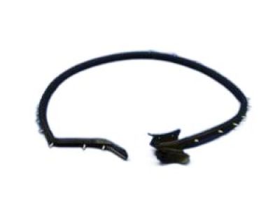 Dodge Viper Door Seal - 4865565AD