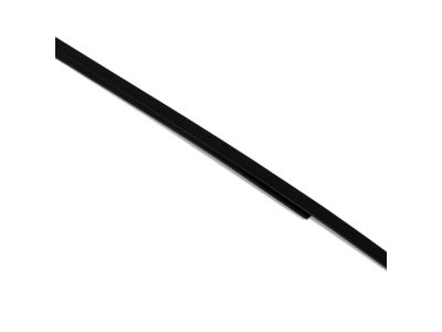 Mopar 5076859AF Molding Rear Door