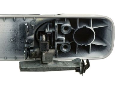 Ram 1GH271W7AD HANDLE Exterior Door