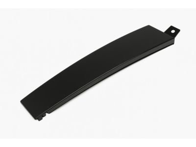 Mopar 4806307AA Applique Rear Door