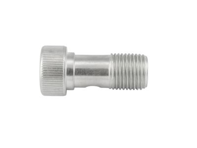 Mopar 4893272AA Bolt Banjo