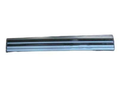 Chrysler 1BF34DX9AB Sill Plate