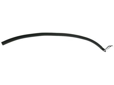 Chrysler Door Seal - 5020840AE