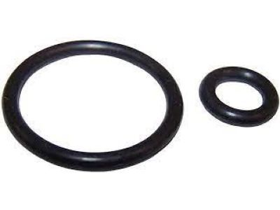Dodge Intrepid Fuel Injector O-Ring - 5013721AB