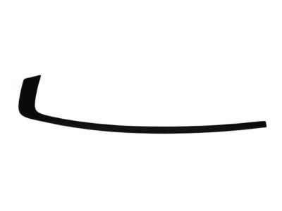 Dodge 57010507AM MOLDING Day Light Opening Rear Door