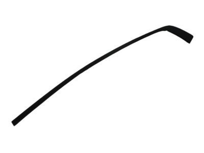 Dodge 57010507AM MOLDING Day Light Opening Rear Door