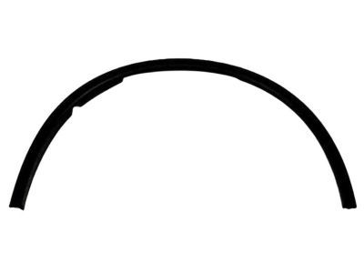 Dodge 57010621AD MOLDING Wheel Flare Front Fender