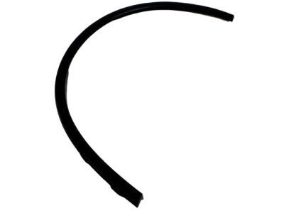 Dodge 57010621AD MOLDING Wheel Flare Front Fender