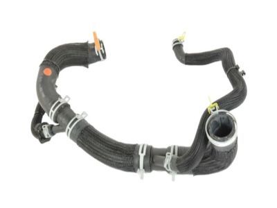 Dodge Charger Radiator Hose - 68248846AF