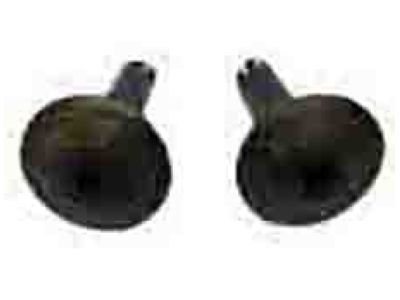 Chrysler 4324314 NUT, Cover Retaining