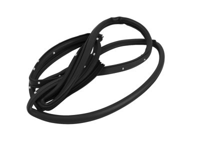 Mopar 55399185AC Weatherstrip Front Door Opening Door Mounted