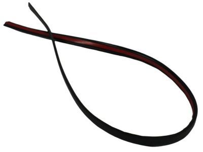 Ram 55372457AB Roof Molding