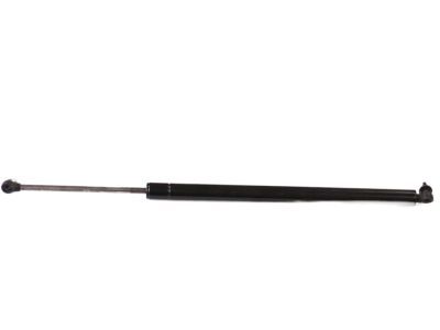 Dodge Caravan Lift Support - G0004837AB