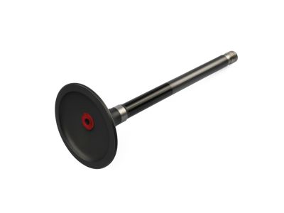 Mopar 4893173AC Valve Engine Exhaust