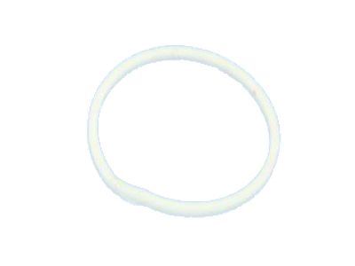 Dodge 4799539 SEAL Input Shaft PKG 05013090AA