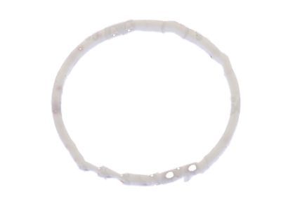 Dodge 4799539 SEAL Input Shaft PKG 05013090AA