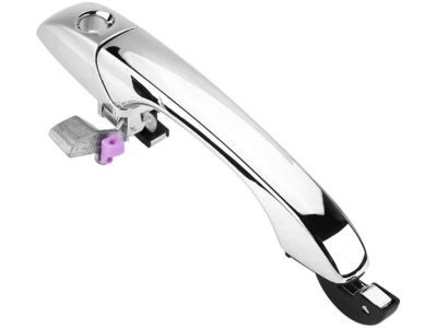 Dodge 5065801AG HANDLE Exterior Door