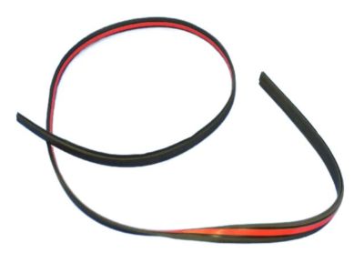 Dodge 5116272AB Roof Molding