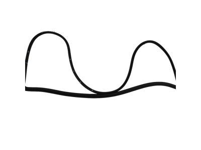 Mopar 68040045AH Weatherstrip Front Door Mounted