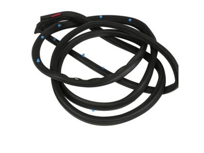 Mopar 68040045AH Weatherstrip Front Door Mounted
