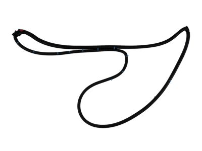 Mopar 68040045AH Weatherstrip Front Door Mounted