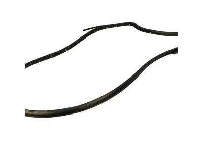 Mopar 55399214AE Weatherstrip Rear Door Opening Mounted On The Door