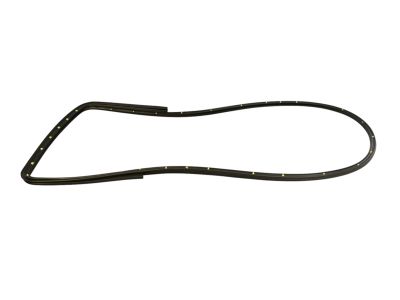 Mopar 55399214AE Weatherstrip Rear Door Opening Mounted On The Door